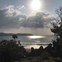 湯河原 サーフィン