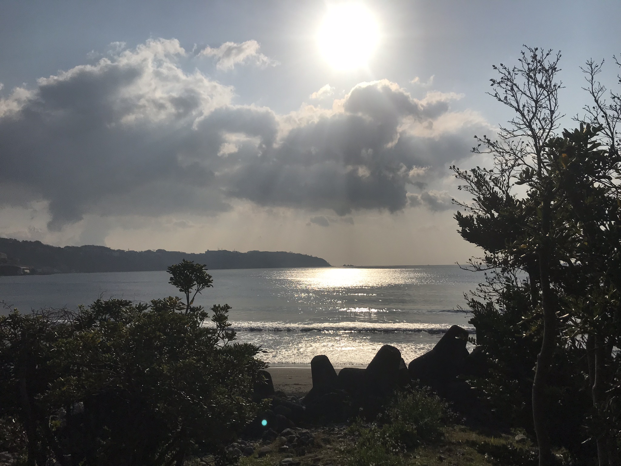 湯河原 サーフィン