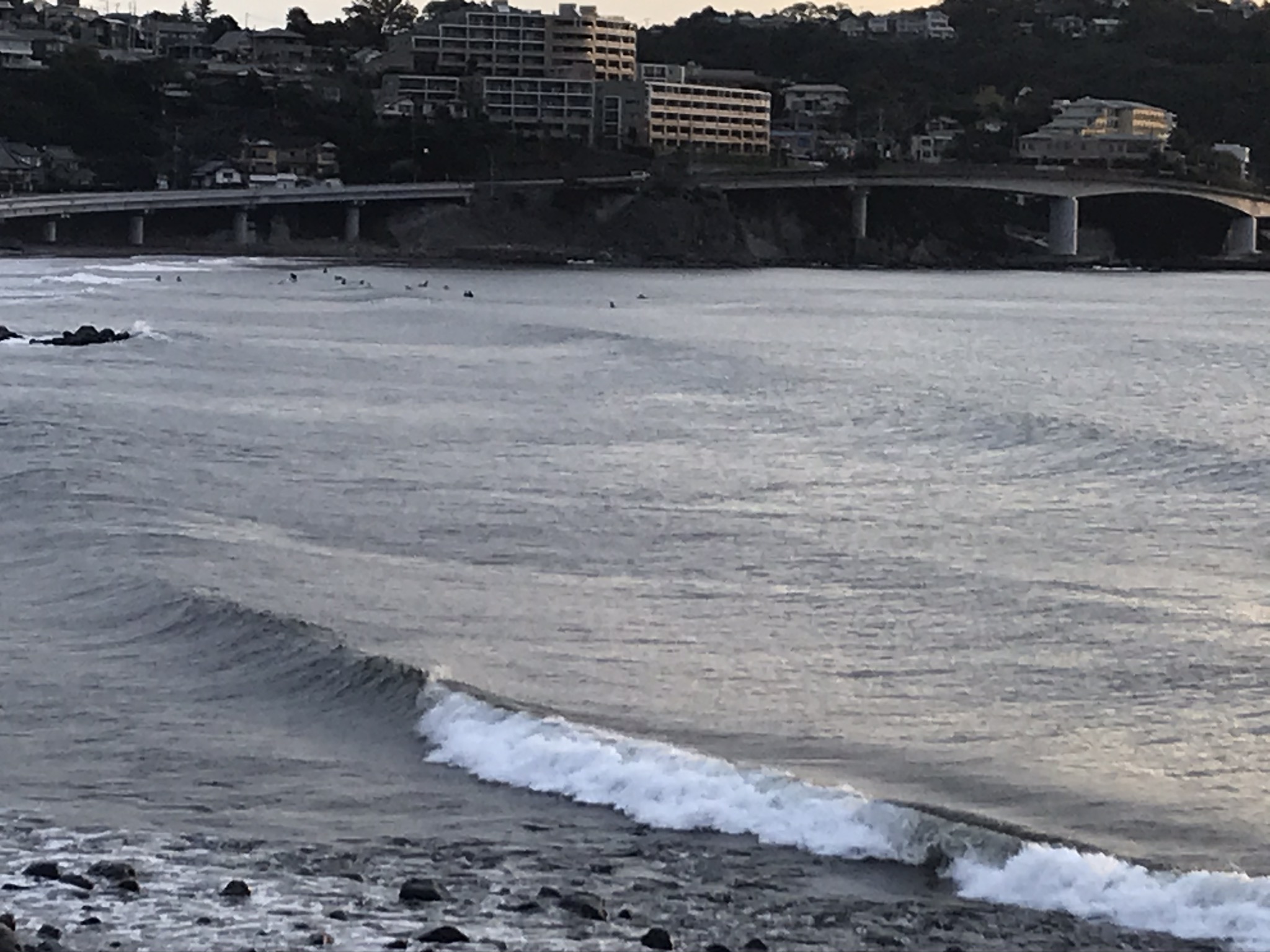 湯河原吉浜海岸サーフィン