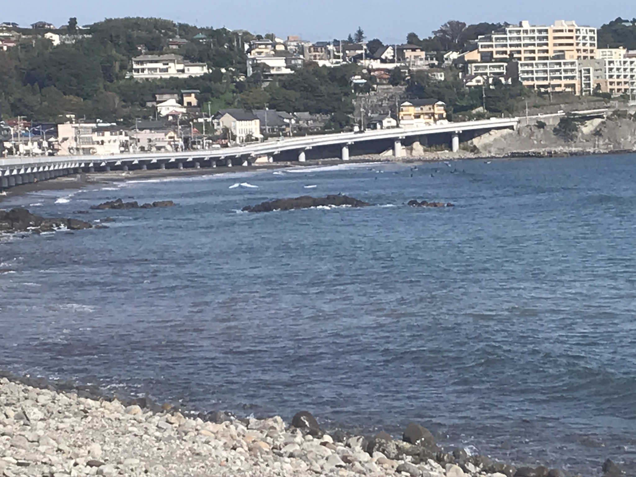 湯河原吉浜海岸サーフィン