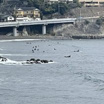 2021年2月24日本日着用したサーフィンウェットスーツ