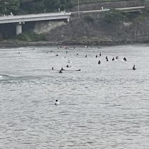 2026年8月29日に着用したサーフィンウェットスーツ